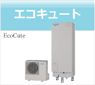 �G�R�L���[�g